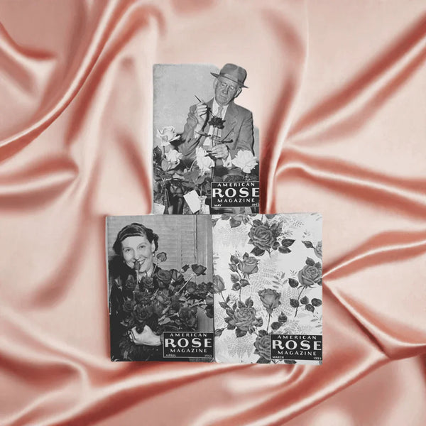American Rose Magazine, Group of Three From 1953 - Lamoree’s Vintage