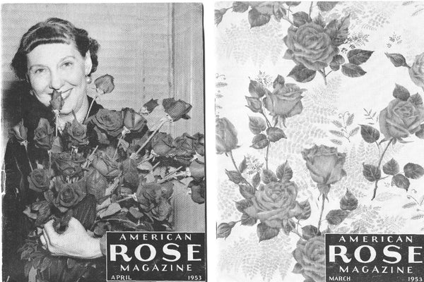 American Rose Magazine, Group of Three From 1953 - Lamoree’s Vintage