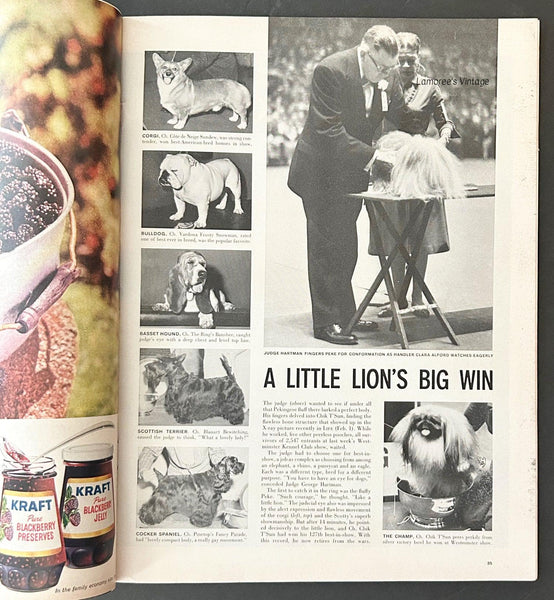 Life Magazine, February 22, 1960 - Lamoree’s Vintage