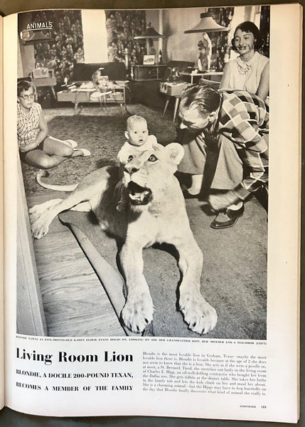 Life Magazine, September 19, 1955 - Lamoree’s Vintage