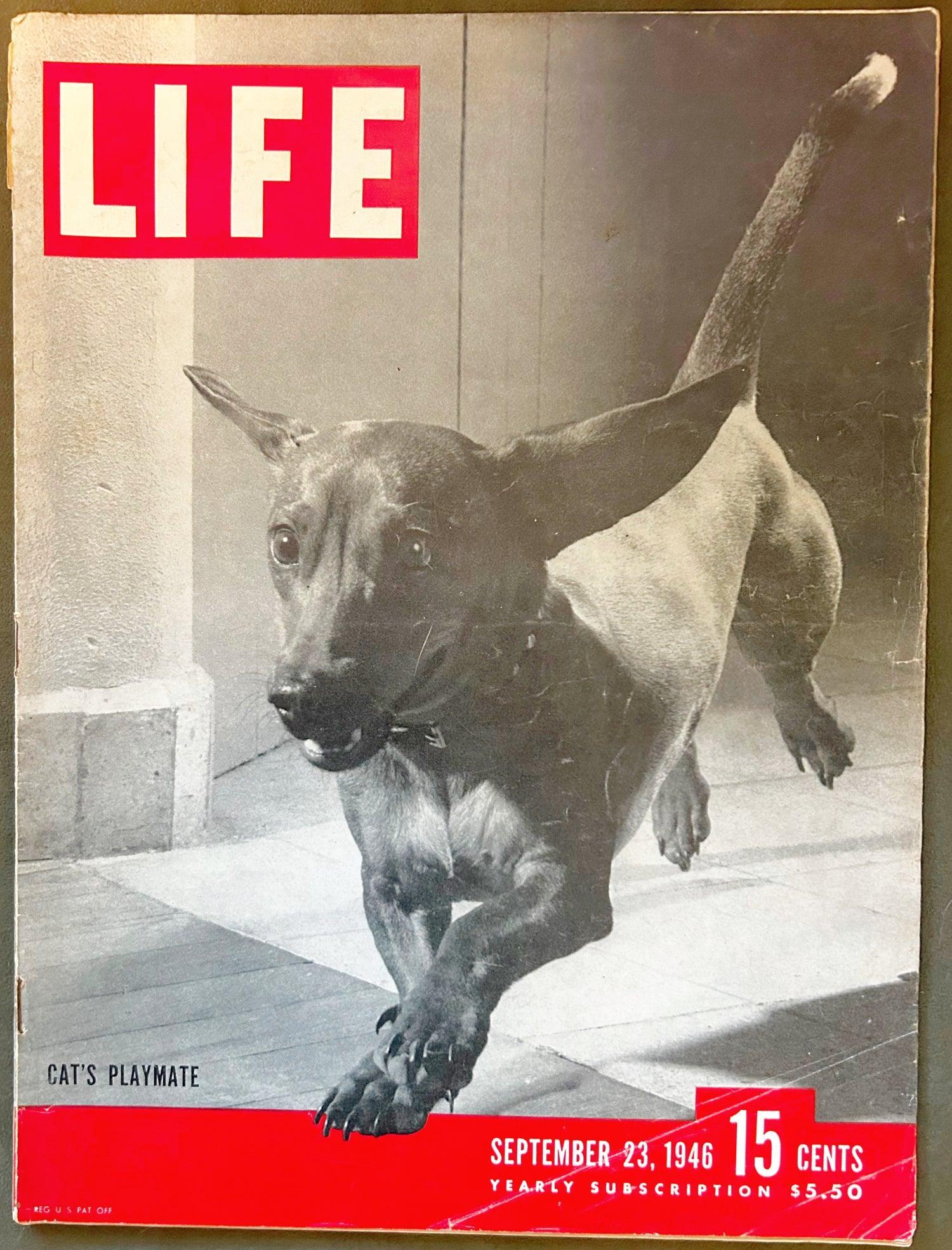 Life Magazine, September 23, 1946 - Lamoree’s Vintage