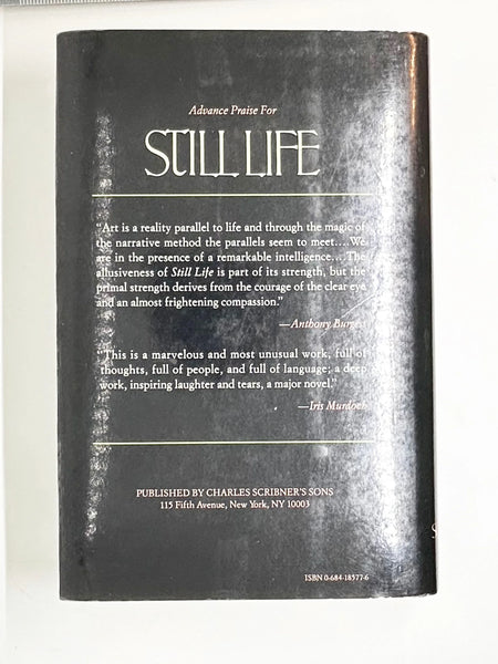 he story follows the characters as they make choices between their personal dreams and responsibilities, leading to a significant, life-altering event. This is readable literary fiction, with themes of family drama,&nbsp; family saga and coming-of-age.&nbsp;&nbsp;