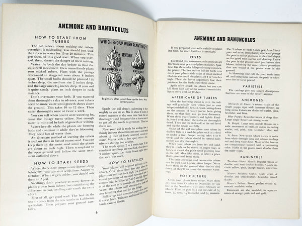 Sunset’s Popular Flower Book (1941) (1954 edition?)