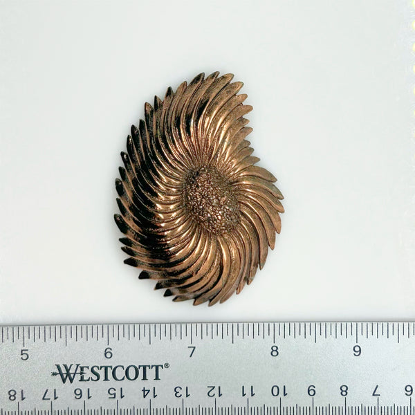 Compelling Vintage Tortolani Copper Toned Shell Brooch