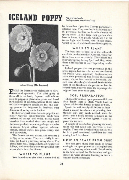 Sunset’s Popular Flower Book (1941) (1954 edition) - Discover a classic flower guide with planting tips and detailed photos. Includes a 1954 calendar clipping. Shop now!