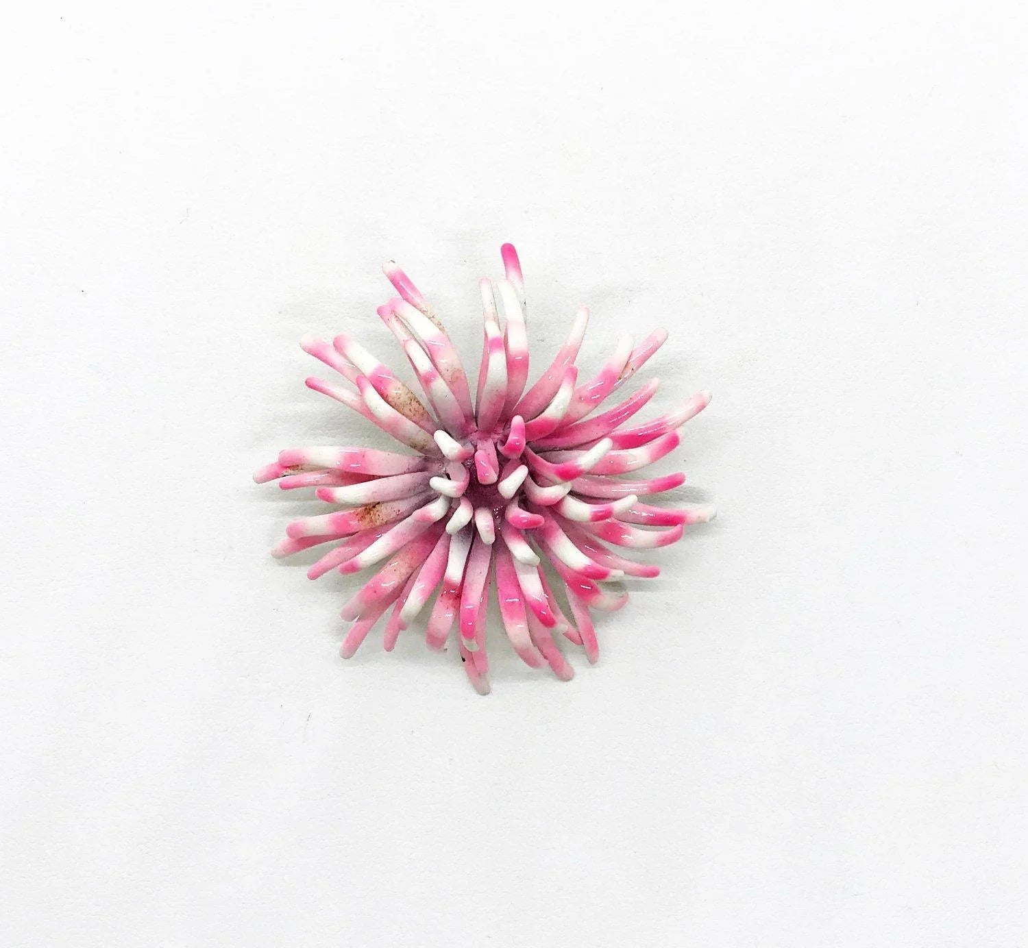 Vintage Pink and White Chrysanthemum Brooch - Lamoree’s Vintage